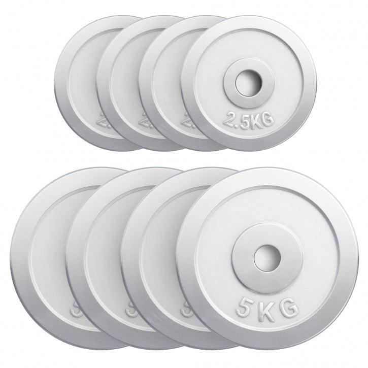 Chrome Cast Iron Weight Plate (30/31 mm)