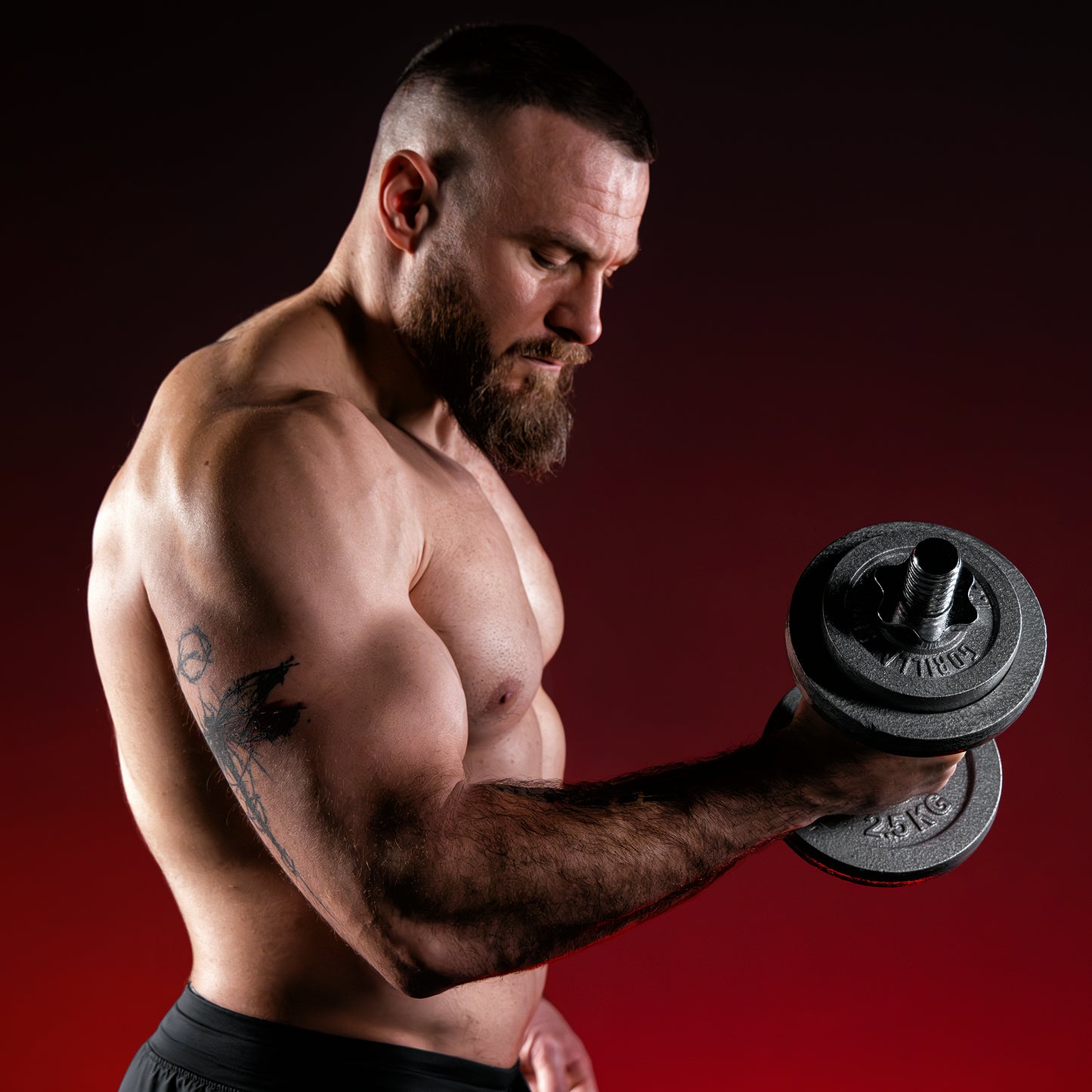 Dumbbell Set Cast Iron 27.5 kg with Star Collars
