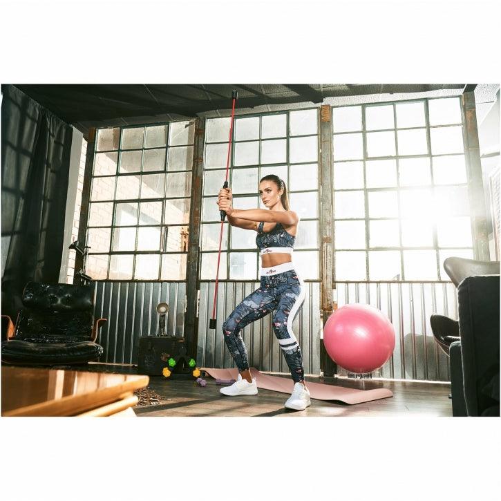 Gym Ball Holder Transparent