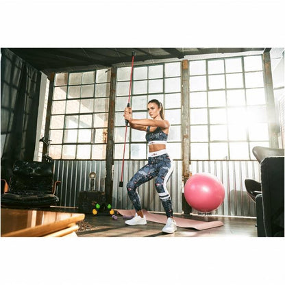 Gym Ball Holder Transparent