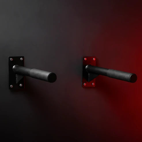 Wall Mounted Dip Bars