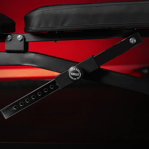 Adjustable Incline Bench with Leg Extension and Preacher Curl