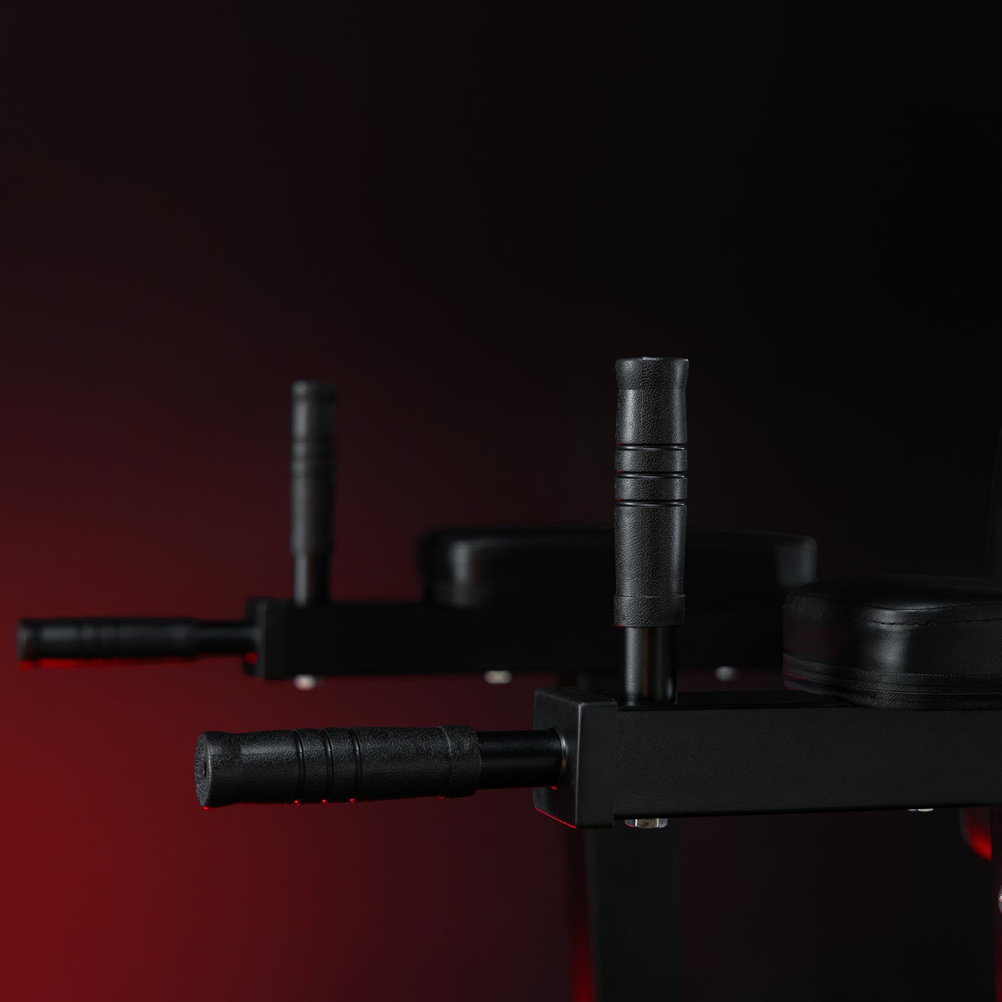 Multifunction Dip Stand