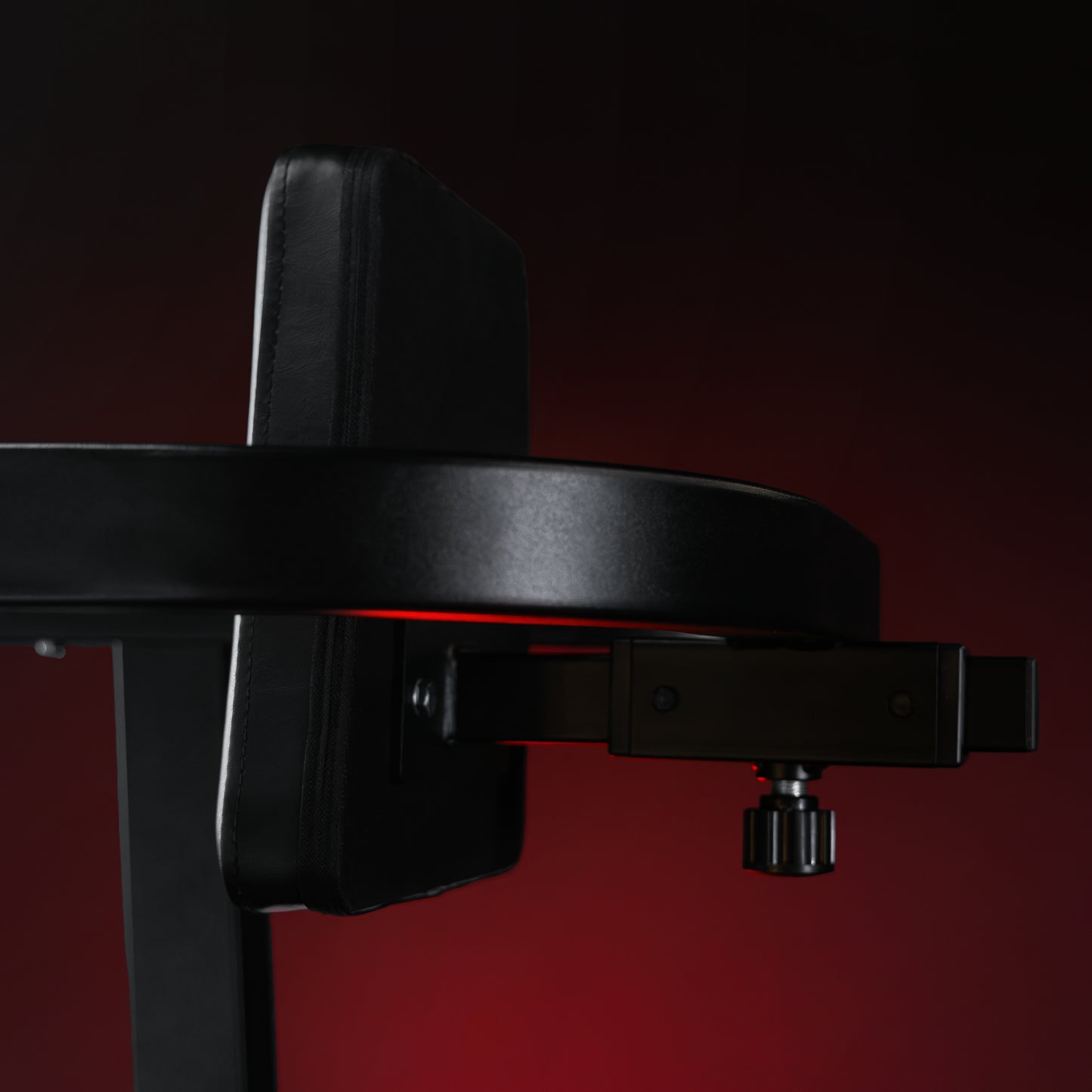 Multifunction Dip Stand