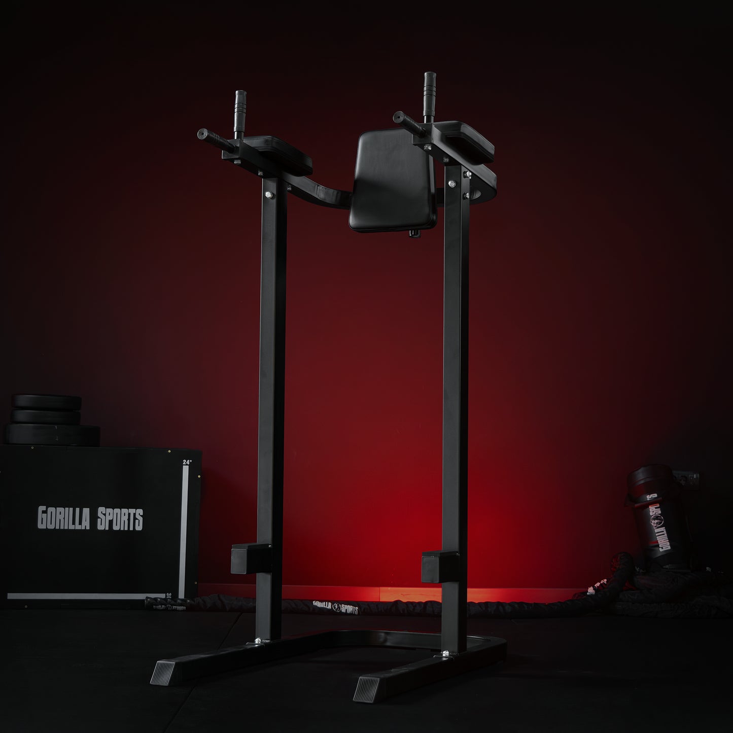 Multifunction Dip Stand