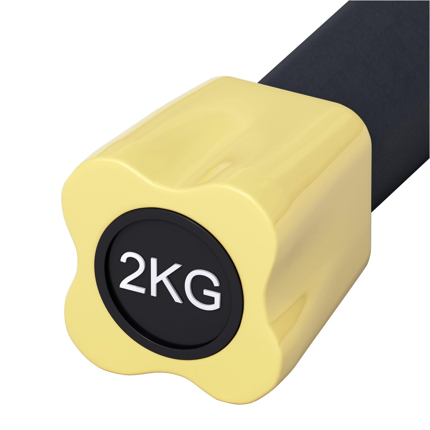 Aerobic Weight Bar 1 - 10 kg
