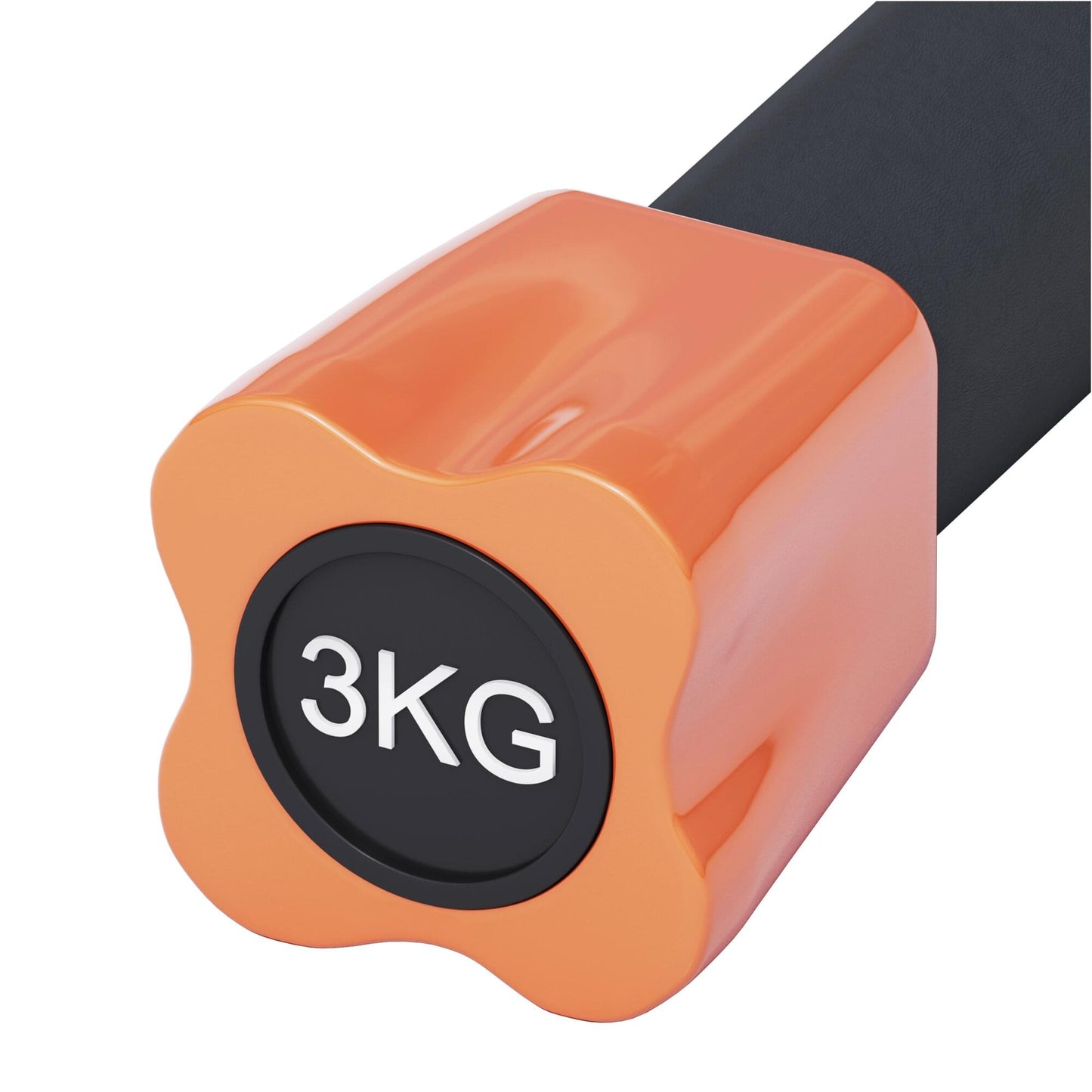 Aerobic Weight Bar 1 - 10 kg