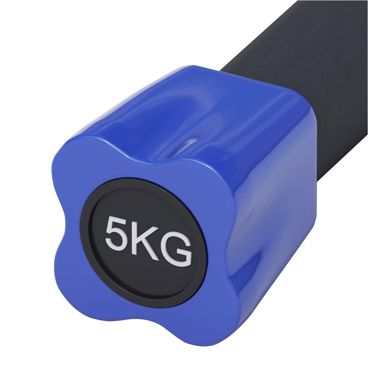 Aerobic Weight Bar 1 - 10 kg