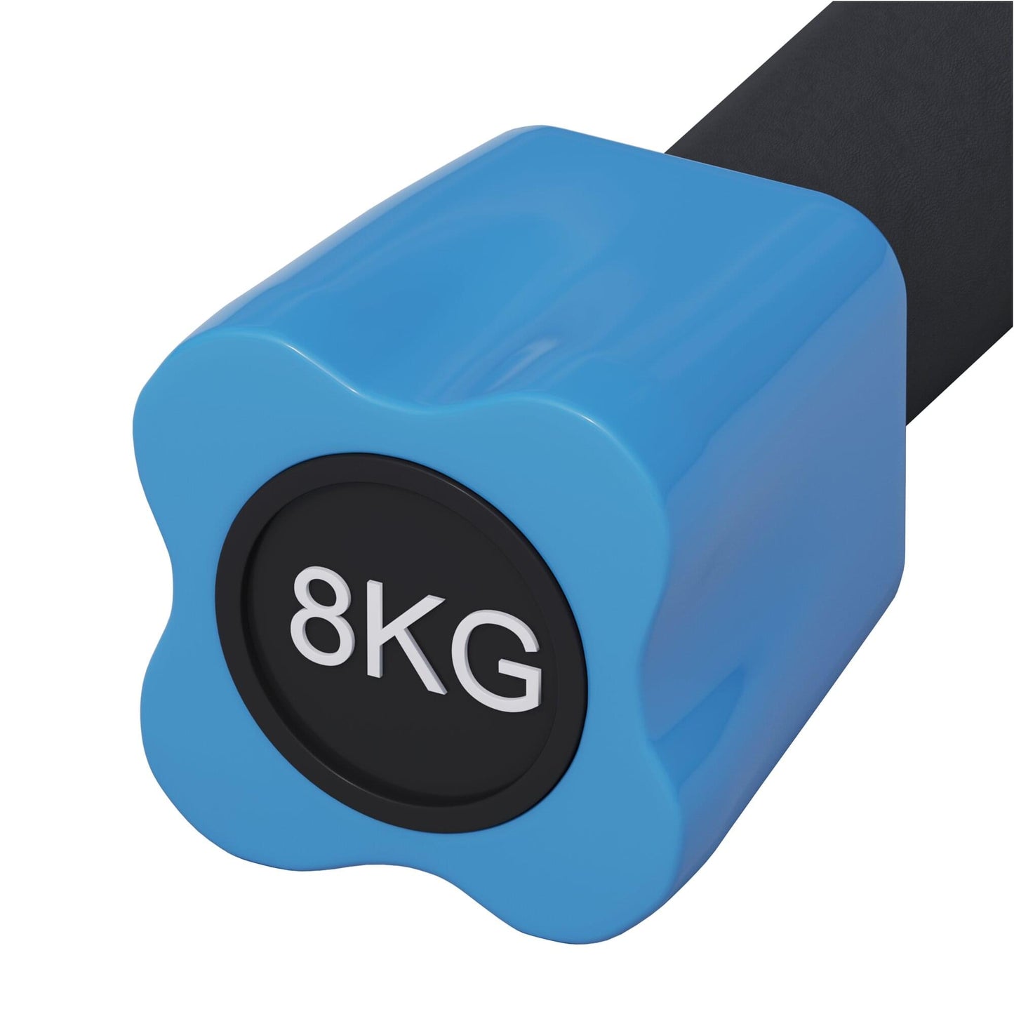 Aerobic Weight Bar 1 - 10 kg