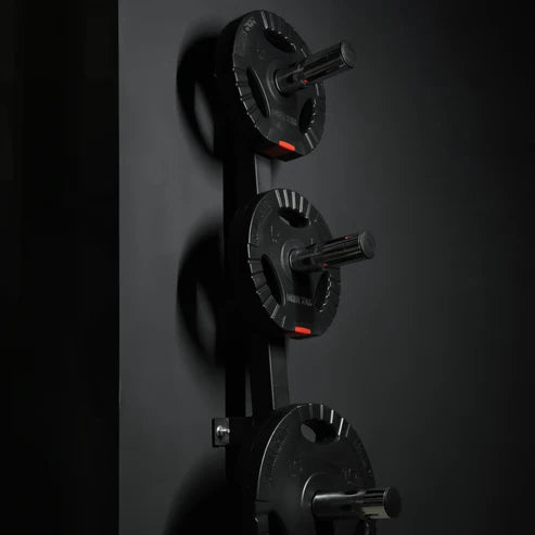 Wall Weight Plate Rack