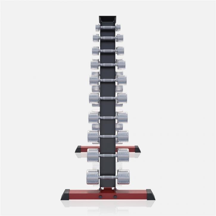 Chrome Dumbbell 1 - 20 kg