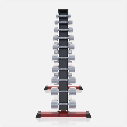 Chrome Dumbbell 1 - 20 kg