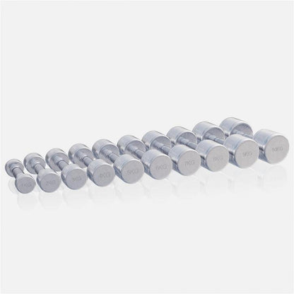 Chrome Dumbbell 1 - 20 kg