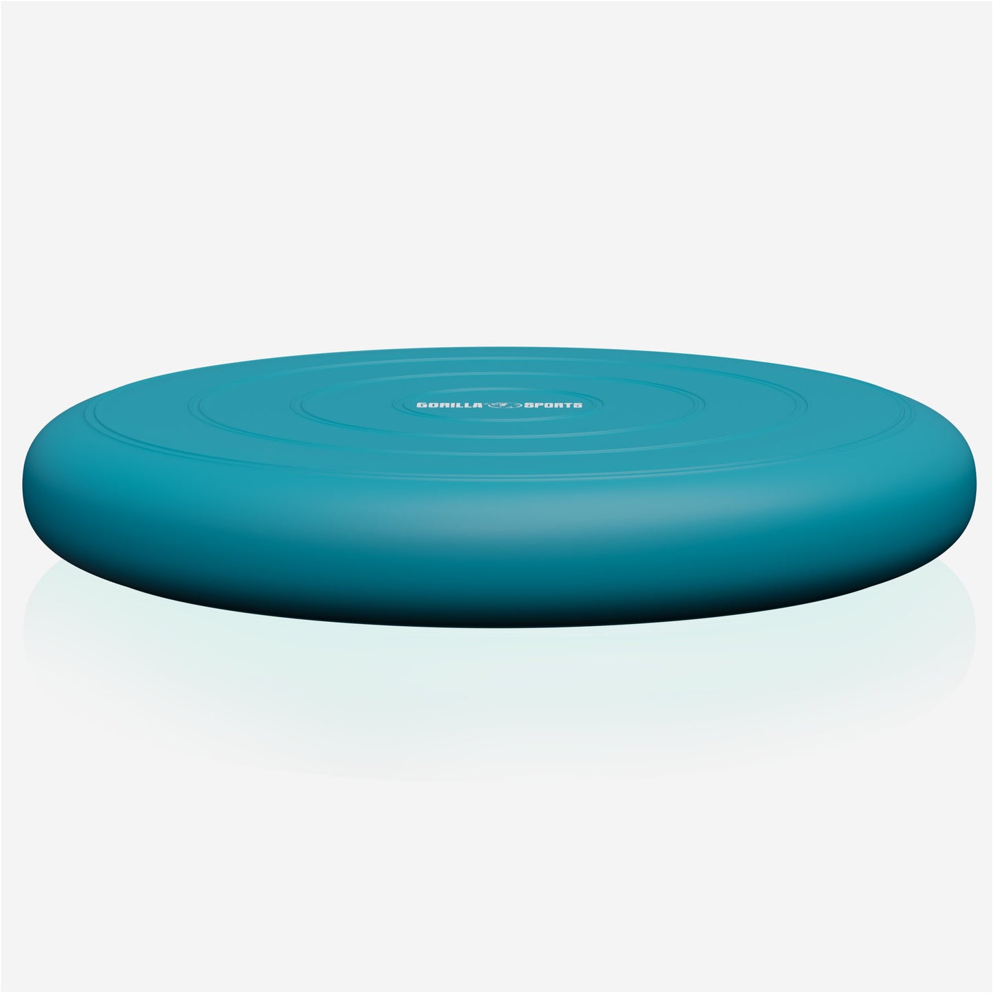Balance Cushion with Air Pump in Various Colours
