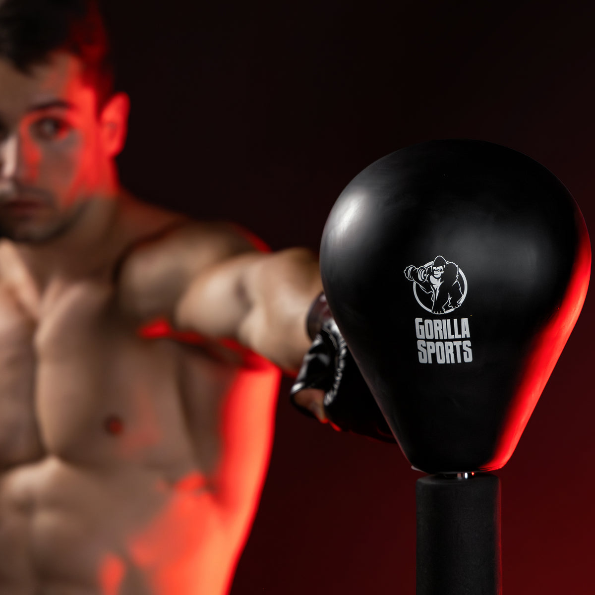 Punching Ball with Stand