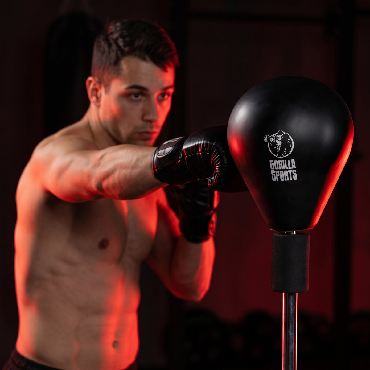 Punching Ball with Stand