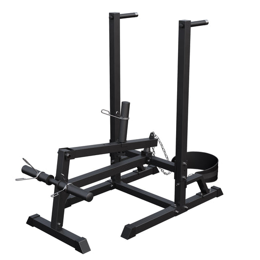 Plate Loaded Dip Station