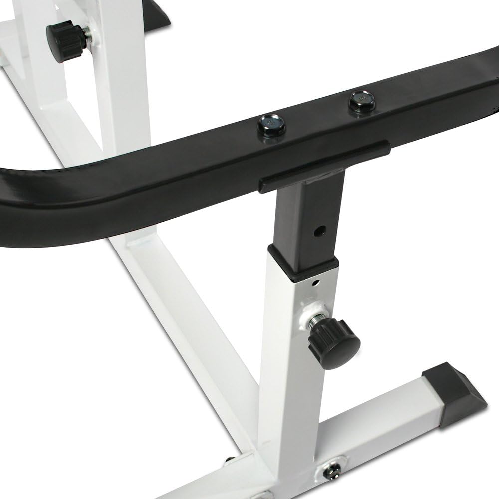 Preacher Curl Bench