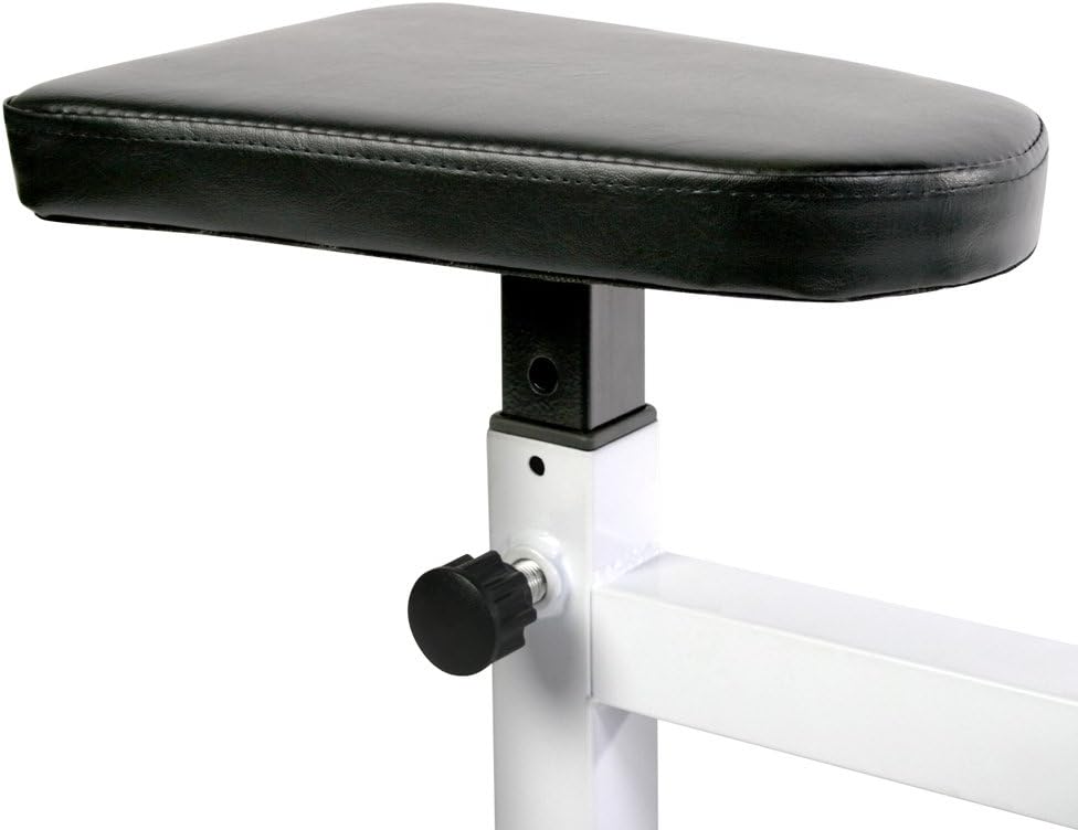 Preacher Curl Bench