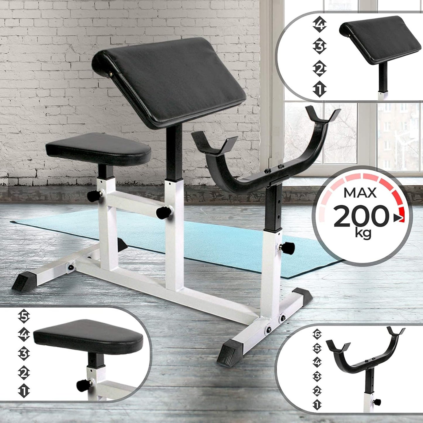Preacher Curl Bench