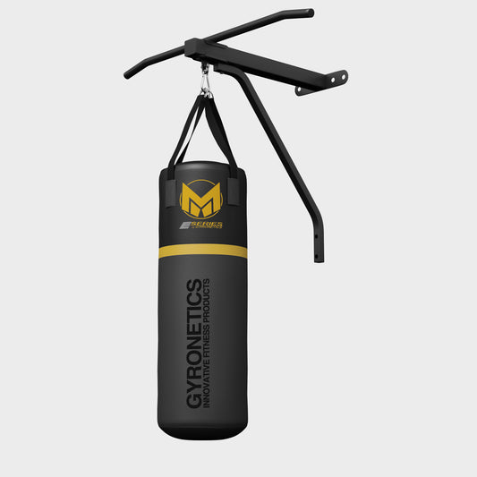 E-Series Punching Bag with Pull-Up Bar