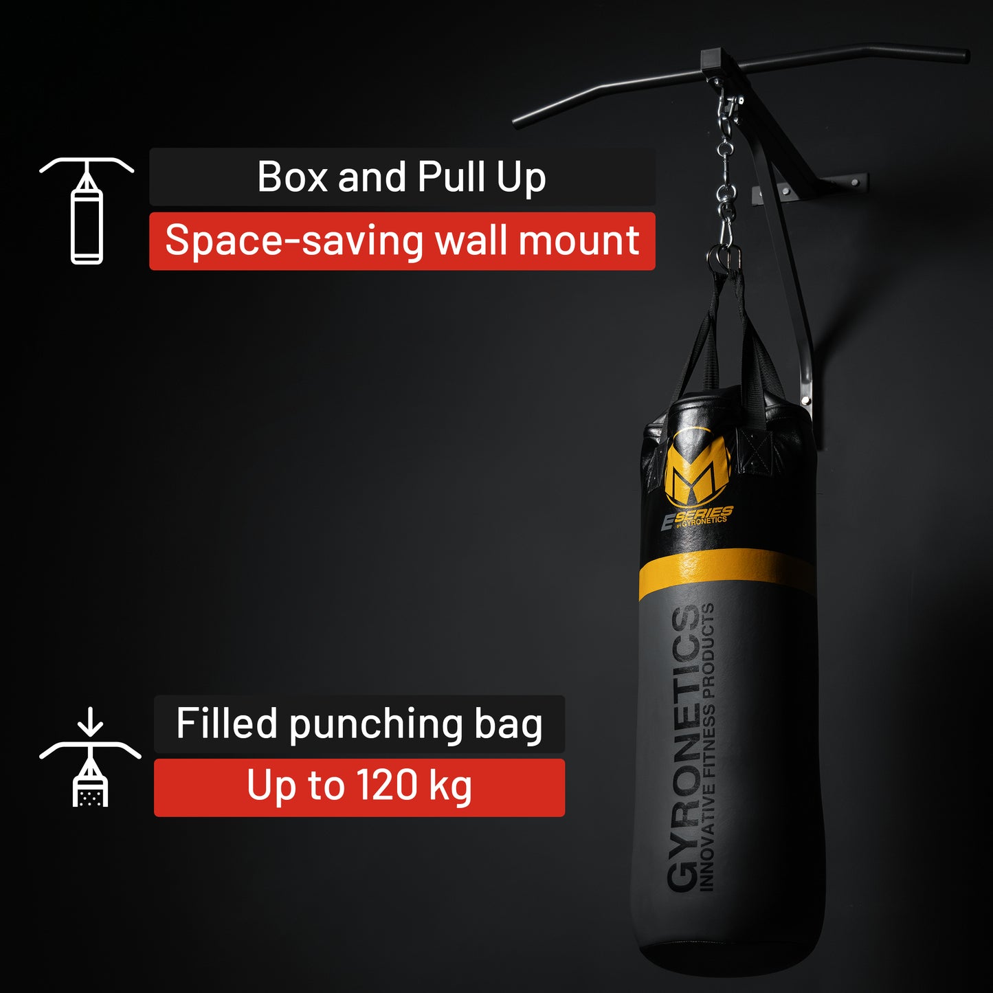 E-Series Punching Bag with Pull-Up Bar