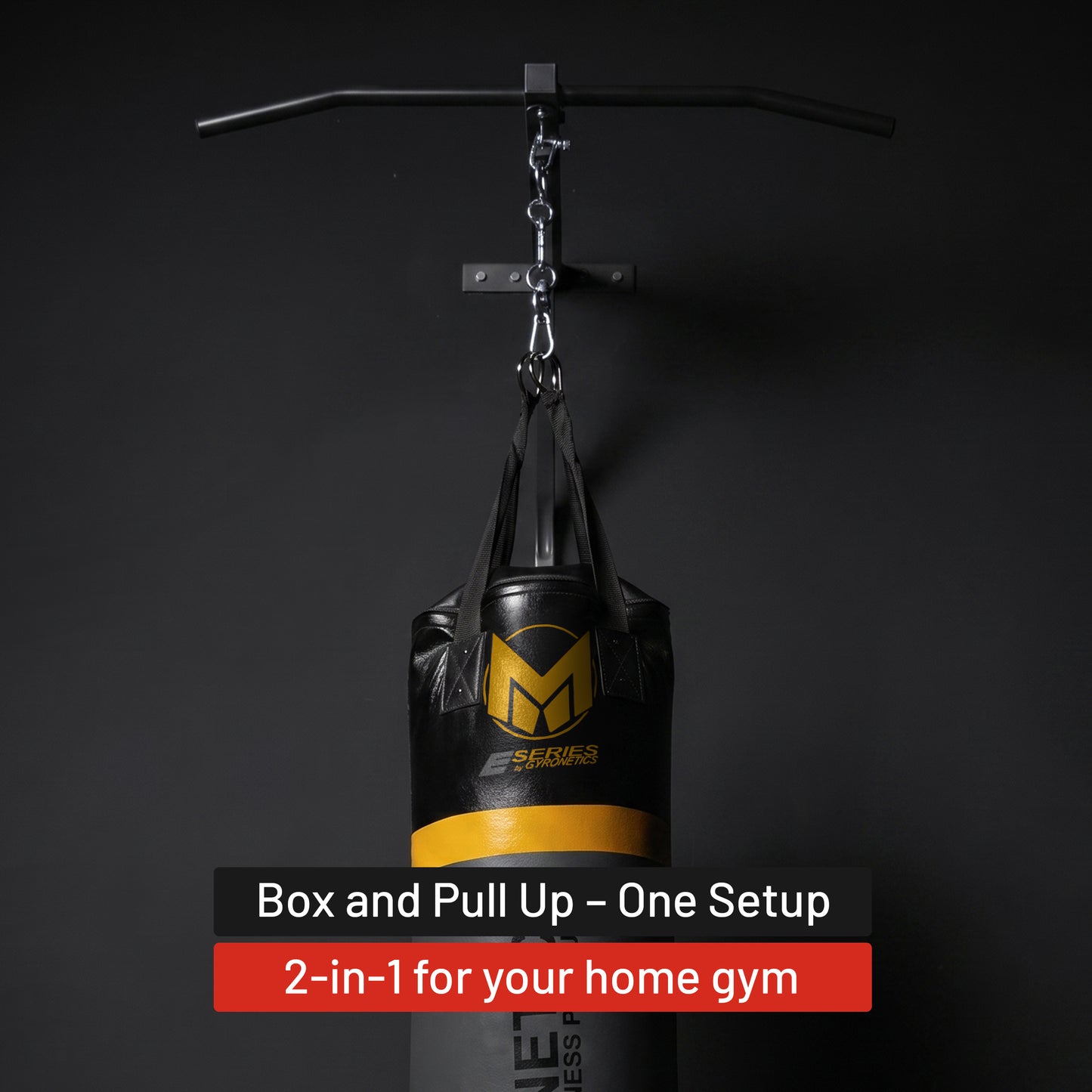 E-Series Punching Bag with Pull-Up Bar