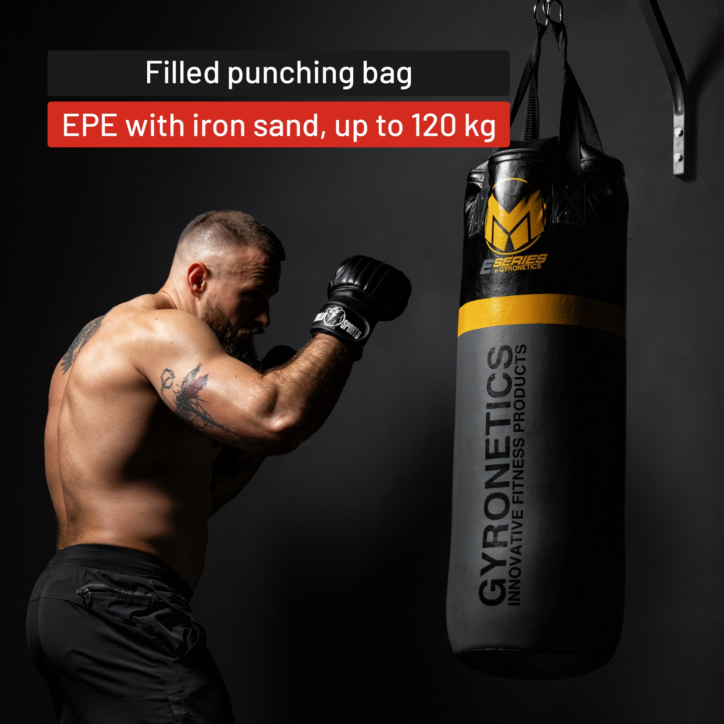 E-Series Punching Bag with Pull-Up Bar
