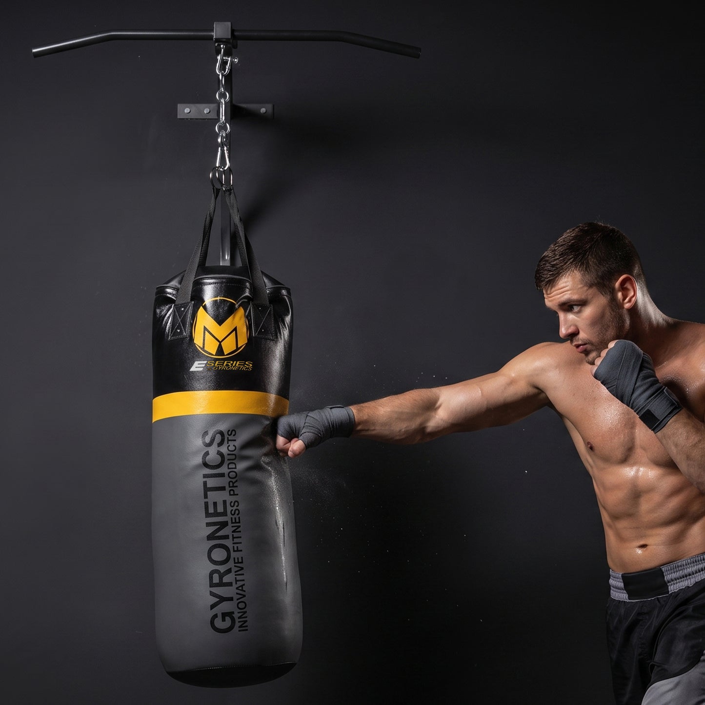 E-Series Punching Bag with Pull-Up Bar