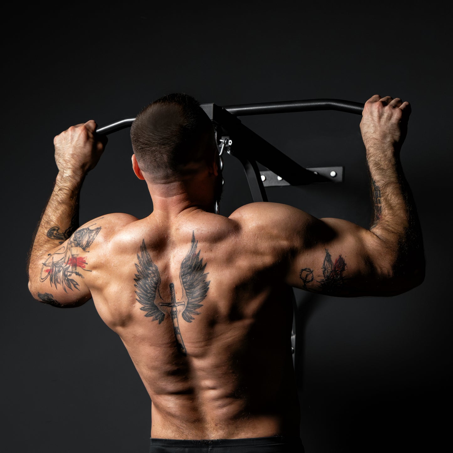 E-Series Punching Bag with Pull-Up Bar
