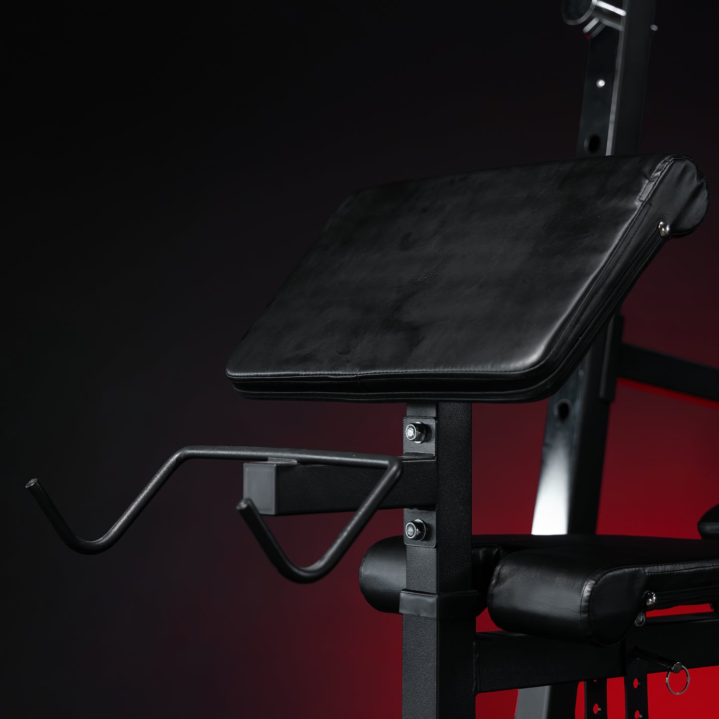 Weight Bench with separate Rack