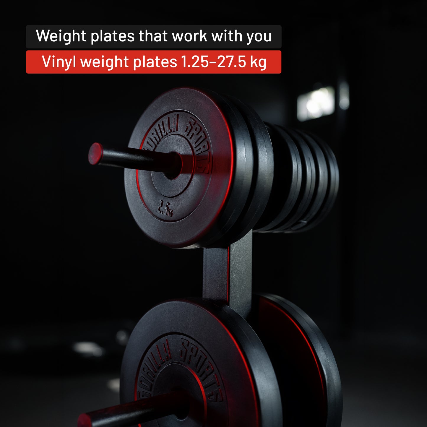 Vinyl Weight Plate 30/31 mm