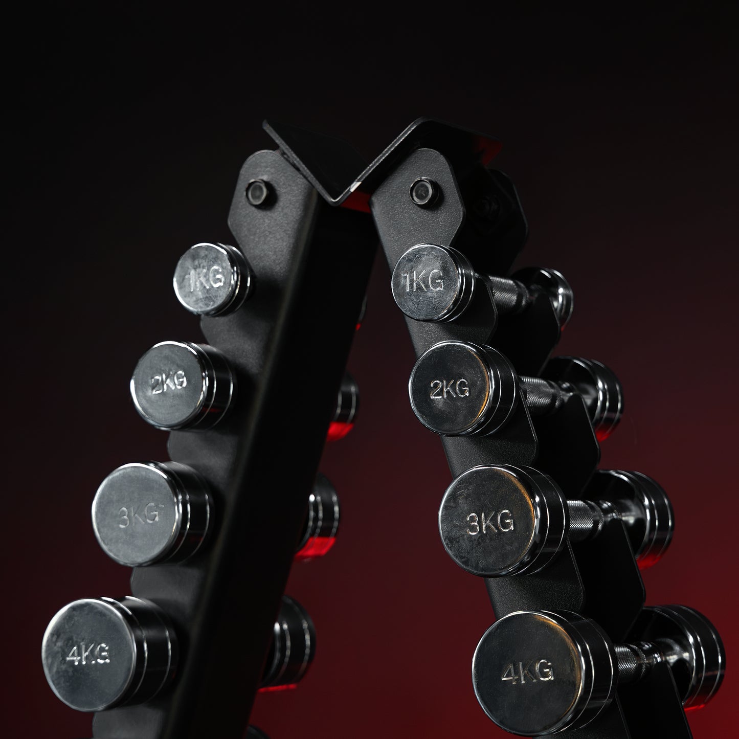 Chrome Dumbbell 1 - 20 kg