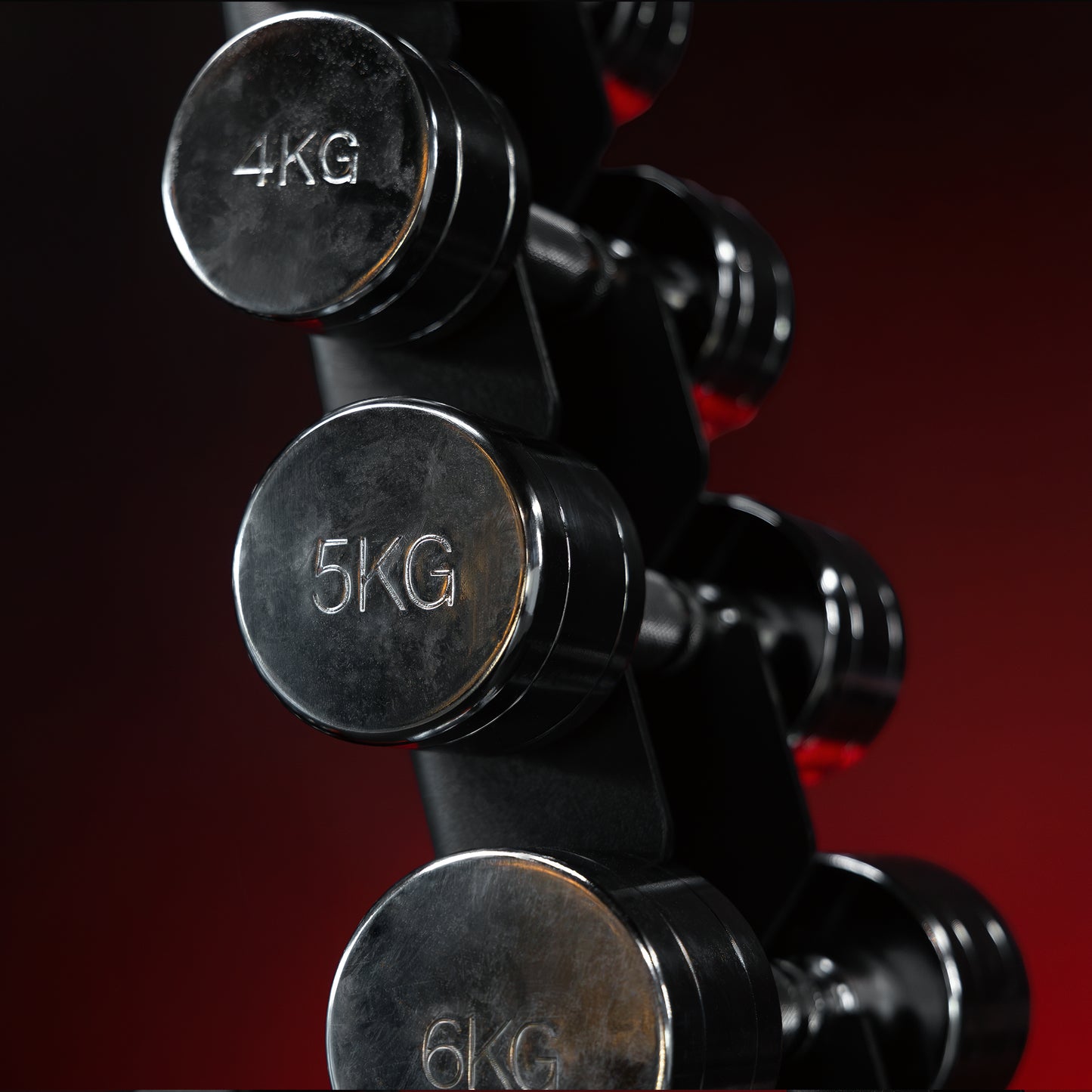 Chrome Dumbbell 1 - 20 kg