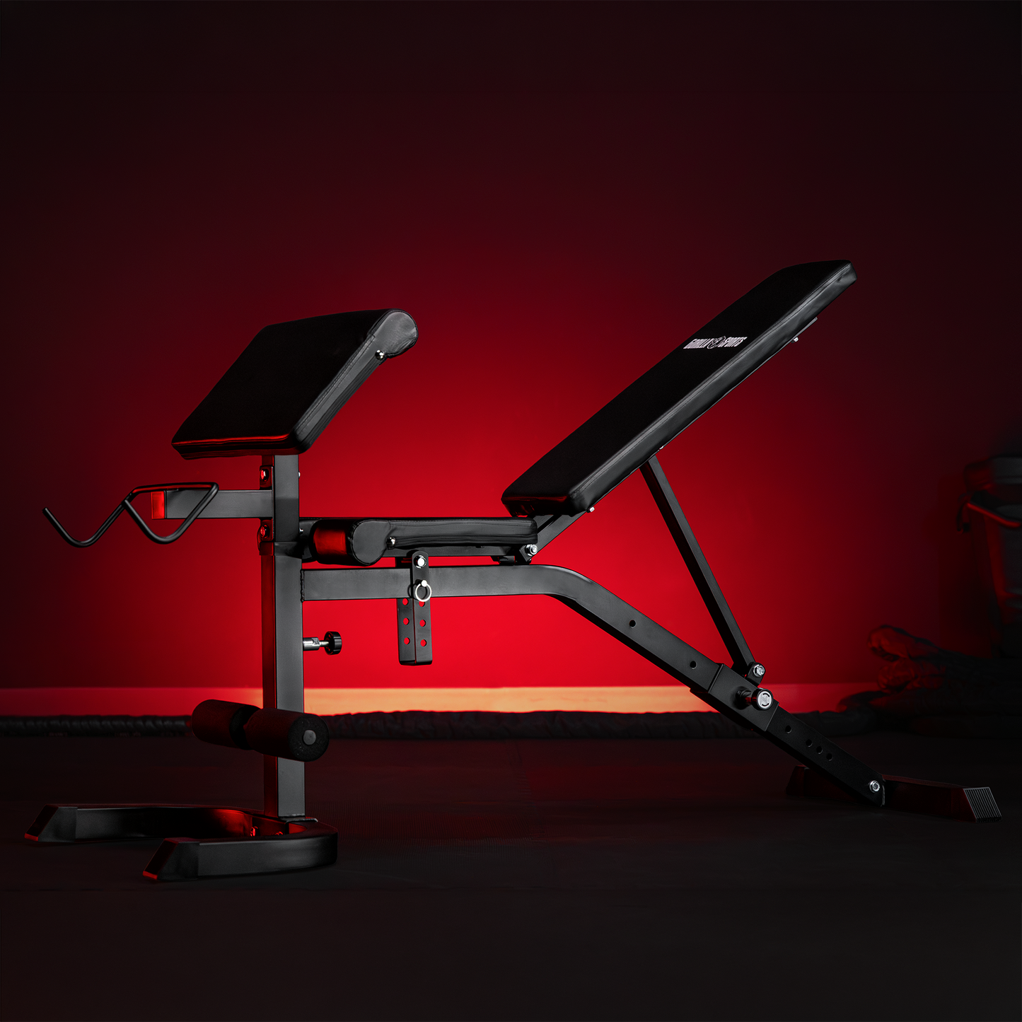 Adjustable Preacher Curl Bench - White/Black