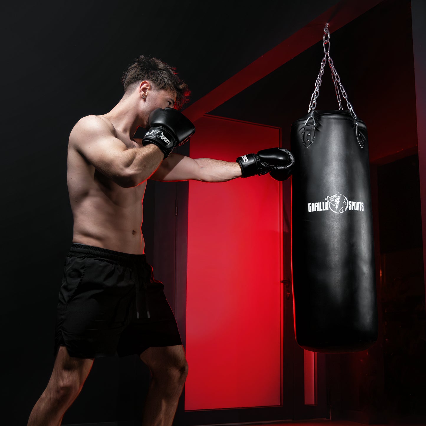 Punching Bag 27 kg
