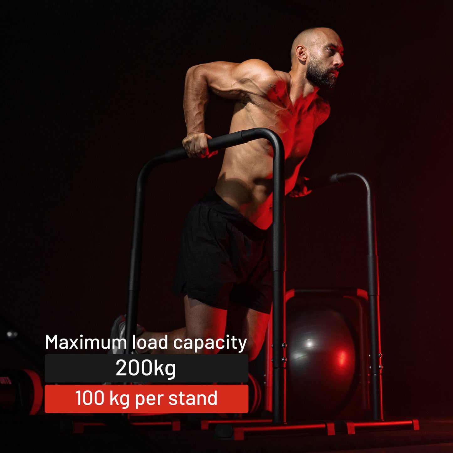 Push Up Stand Dip Bars Black/Red/Blue