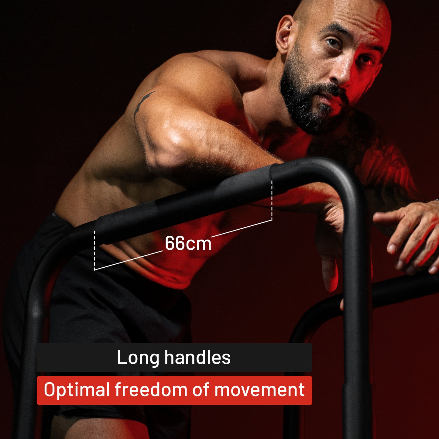 Push Up Stand Dip Bars Black/Red/Blue