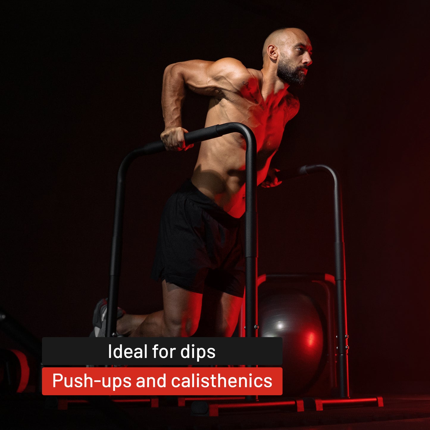 Push Up Stand Dip Bars Black/Red/Blue