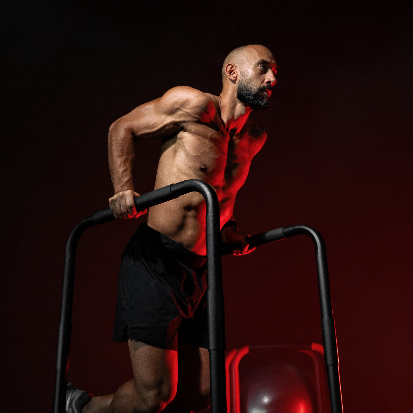 Push Up Stand Dip Bars Black/Red/Blue