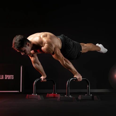 Push Up Parallettes in Various Colours
