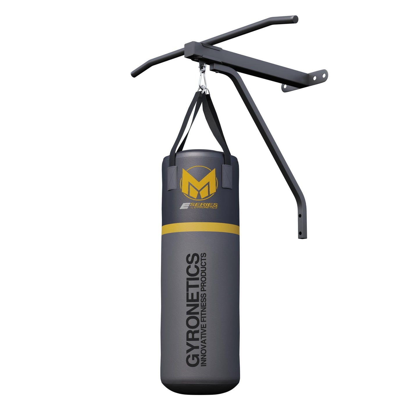 E-Series Punching Bag with Pull-Up Bar