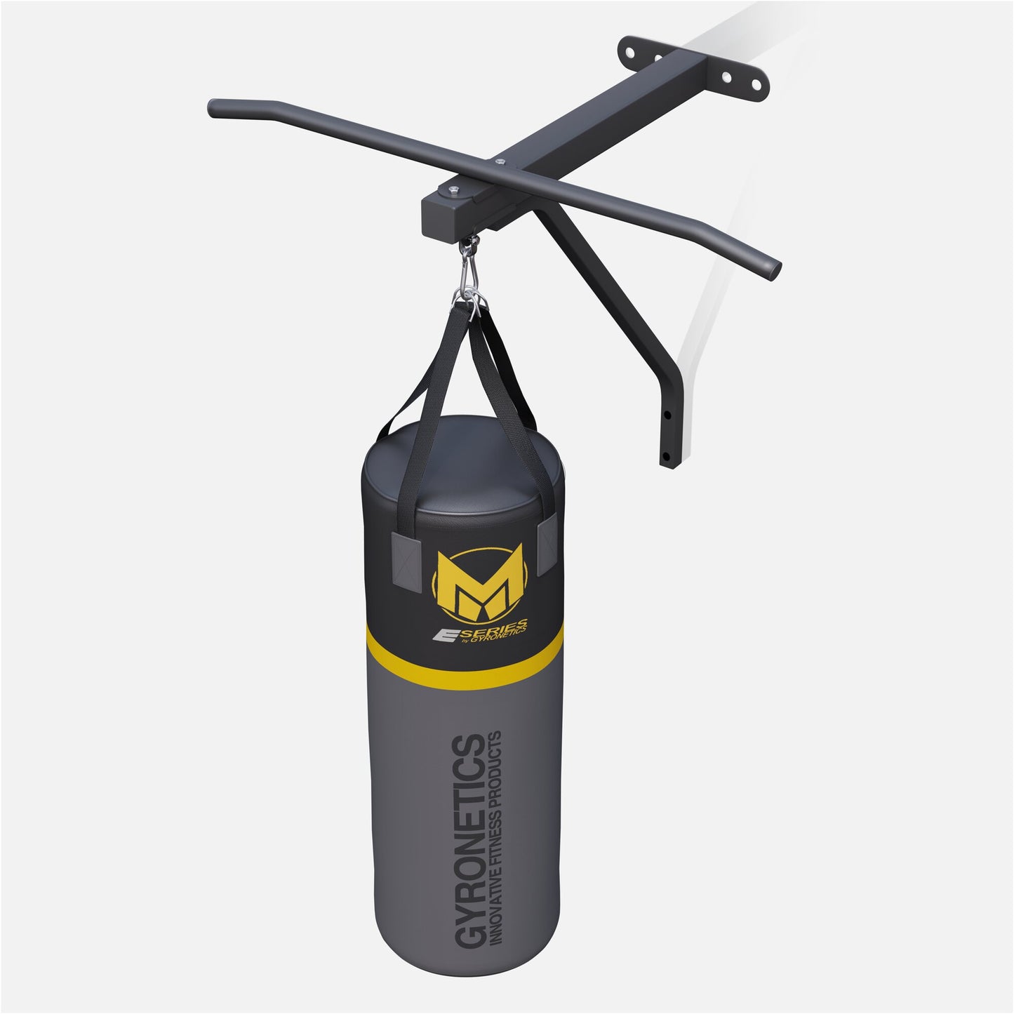 E-Series Punching Bag with Pull-Up Bar