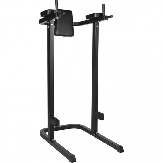 Multifunction Dip Stand