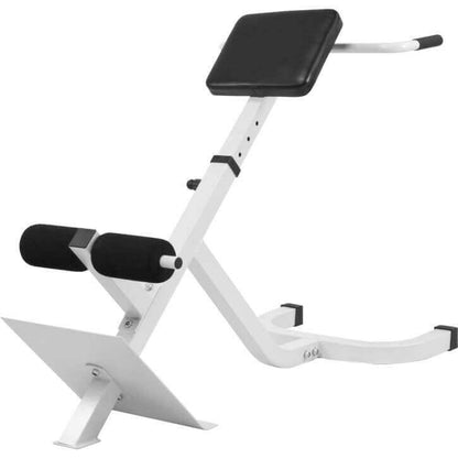 Back Extension Bench
