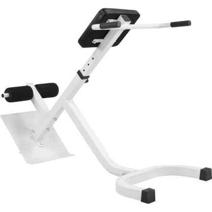 Back Extension Bench